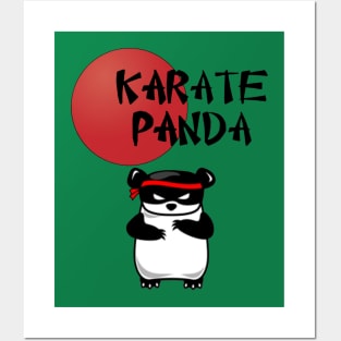 karate panda Posters and Art